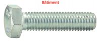 HEXAGON HEAD SCREW FULL THREAD ISO 4017 10.9 CLASS - ZINC PLATED BATIMENT Acier classe 10.9 Zn ISO 4017 (Model : 20701)