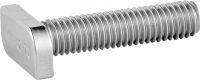 Vis marteau inox A2 / Hammer head screw